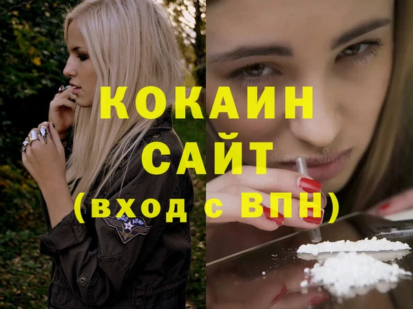 прущие грибы Няндома