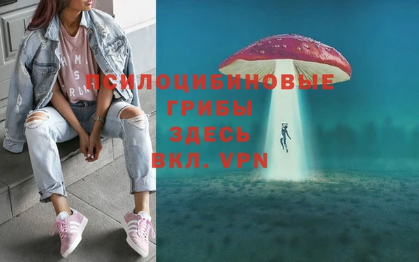 прущие грибы Няндома