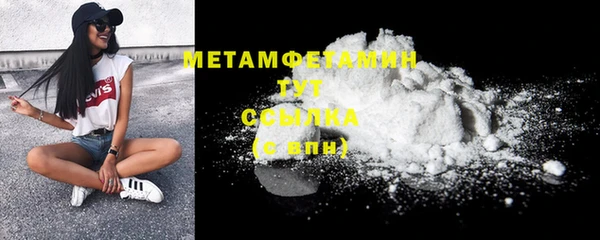 прущие грибы Няндома